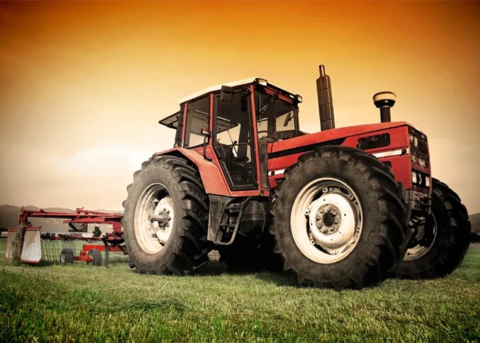 a-chi-ci-rivolgiamo-4